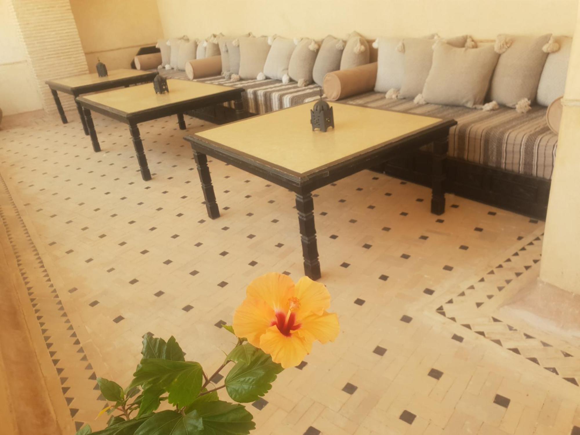 Riad Dar Haven Tamraght Buitenkant foto
